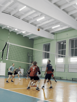 Розыгрыш у сетки, живая гифка с турнира
